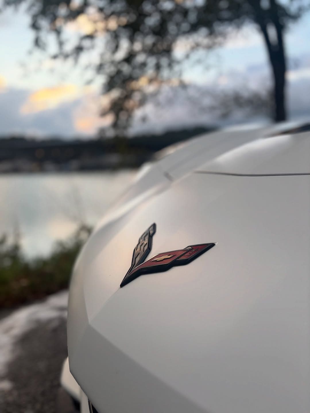 Exterior detailing on a corvette, Cumming GA